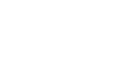 Tutorvio - logo - white